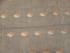 SAREES NEGAMAM WITH BLOUSE